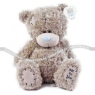 Toy Teddy Bear,